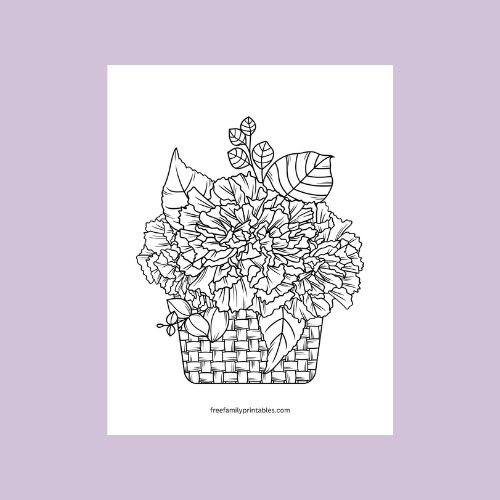 Carnation flower bouquet coloring page